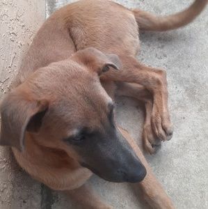 Meet your Posher, Renee